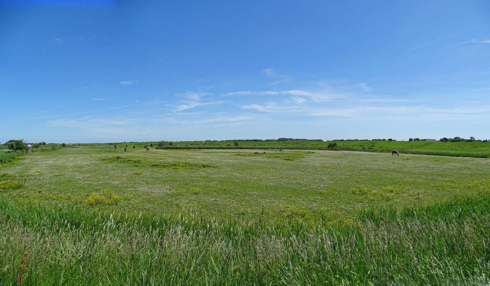 Hoogeland